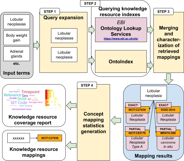 Overview of the automatic ontology coverage evaluation strategy