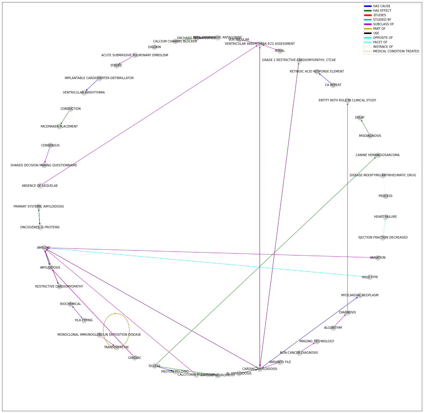 Final knowledge graph visualisation. The relations names are omitted.
